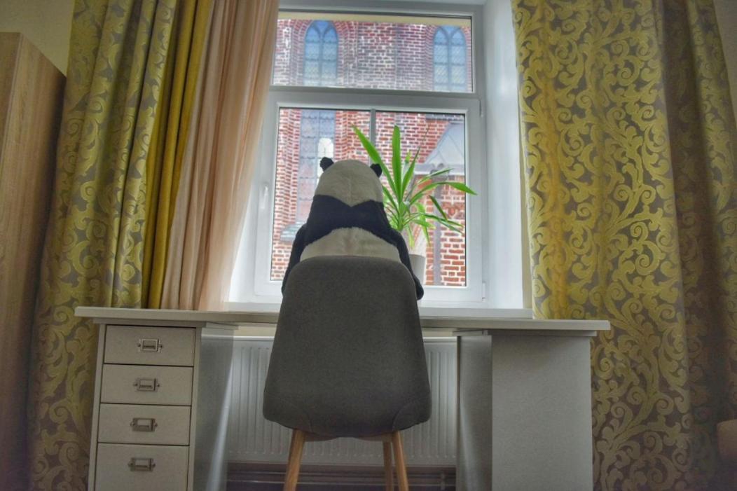 Panda House - Luxury In Old Town Apartment Тарту Екстериор снимка